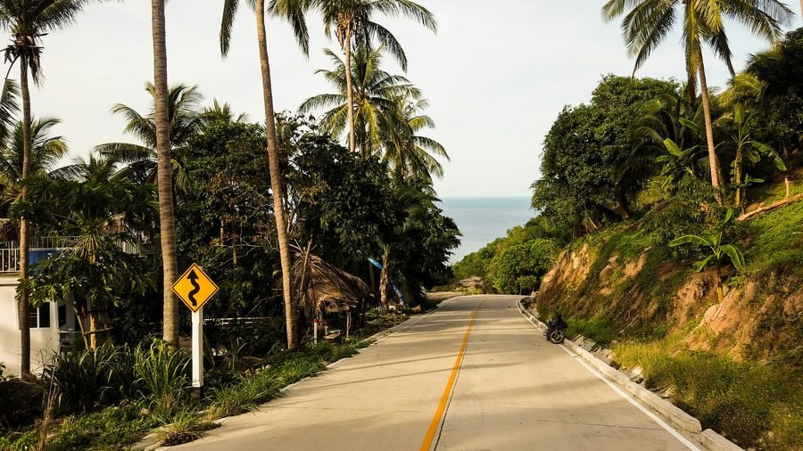 A concrete road winding down between coconut palms to the sea, a scooter parked at the roadside