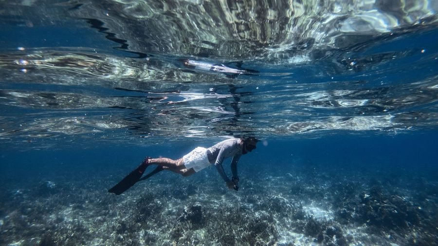 A snorkeller with fins diving down towards coral and pale sand in clear water